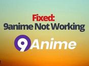 Fixed: 9anime Working
