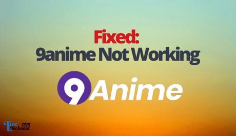 Fixed: 9anime Not Working