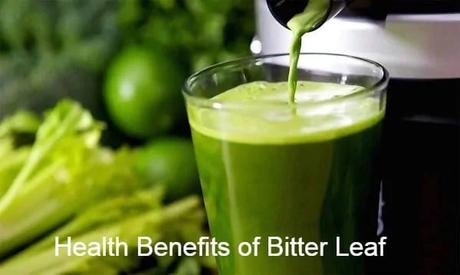 Bitter leaf Health Benefits (Vernonia amygdalina)