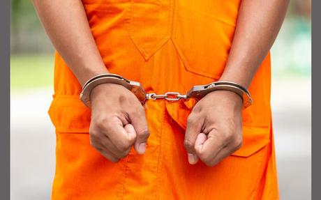 Novice monk remanded till 23 over Seeduwa Temple murder