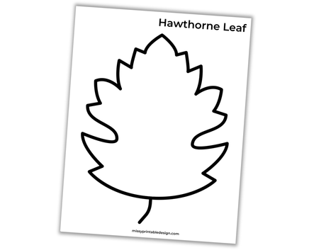 hawthorne leaf template