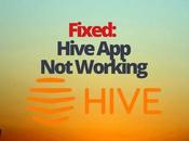 Fixed: Hive Working