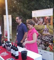 Wine Tour Across Borders: Croatia and Hungary; Osijek-Baranja County and Villány