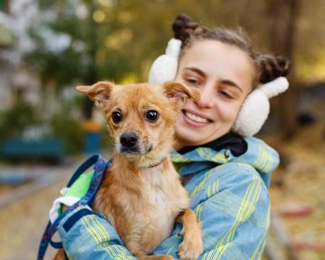 First 24 Hours With Your New Dog