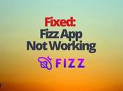 Fixed: Fizz Working
