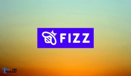 Fixed: Fizz App Not Working
