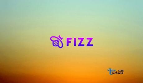 Fixed: Fizz App Not Working
