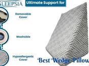 Best Wedge Pillow Pregnancy Time