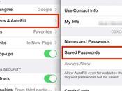 Check Passwords iPhone?