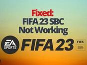 Fixed: FIFA Working