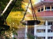 Poor Economic Management Decisions Lead Country’s Downfall