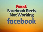 Fixed: Facebook Reels Working