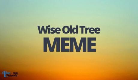 Wise Old Tree Meme