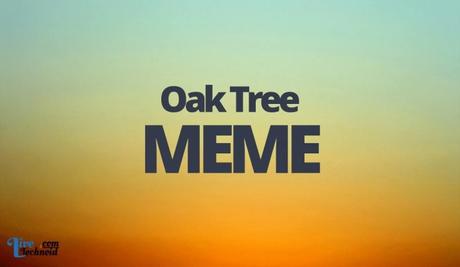 Oak Tree Meme