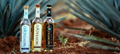 Montalvo Spirits, Inc Montalvo Spirits, Inc