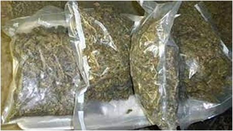 Three transporting over 160 kilos of cannabis held