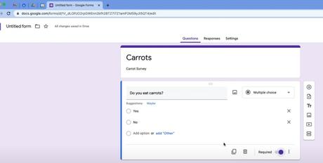 google form questions
