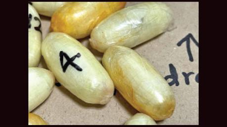 Ugandan ‘farmer’ ends in Negombo with cocaine