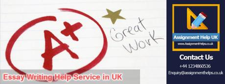 Essay Writing Help by Professional Writer