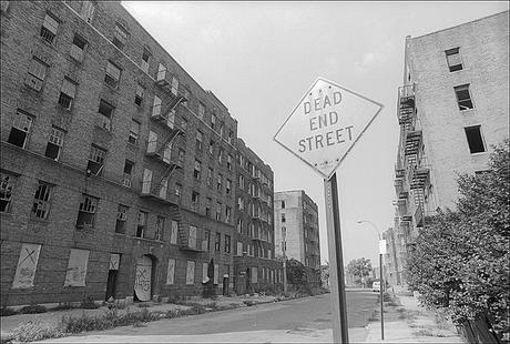 Bronx Boy – A Novel (Part Two): Building Alliances