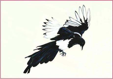 Battling Magpies