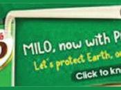 Schools Novices Swimming Diving Meet Commences This Weekend