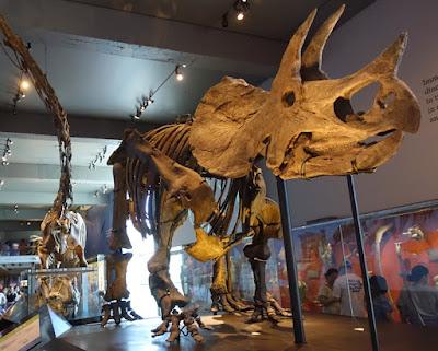 CLOSE-UP WITH DINOSAURS AT THE NATURAL HISTORY MUSEUM, Los Angeles, CA