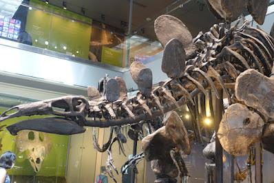 CLOSE-UP WITH DINOSAURS AT THE NATURAL HISTORY MUSEUM, Los Angeles, CA