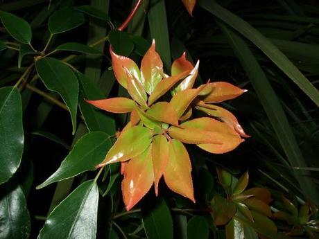 ...And Then We Turned Three