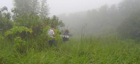 An expedition into the Luquillo Experimental Forest in Puerto Rico by JBEI and Berkeley Lab researchers led to the identification of a soil microbe that utilizes lignin as its sole source of carbon.