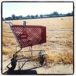 A rare sight: an abandoned shopping cart in the northwest. In a vacant lot, naturally and oh, so Bakersfield to be from The Tractor Supply Store.