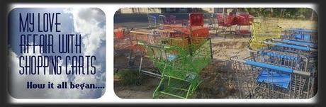 Last Spring, my son Samuel waited patiently while I snapped a series of photos similar to this one: that was when my shopping cart love affair began in earnest.