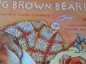 Wakey, Wakey Brown Bear!