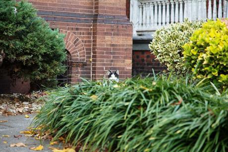 weekend nyc 3 of 4 Weekend: NYC