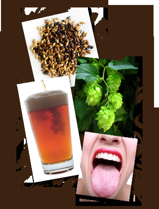 Beer and Food: Why they work so well together