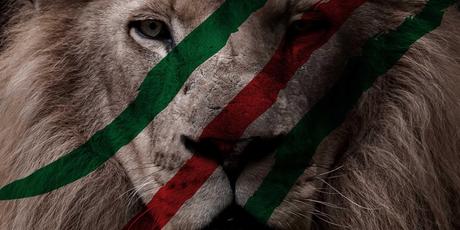 jpeg Lynx x Protein: 18 Years of Africa