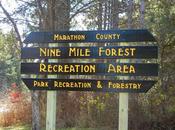 Nine Mile County Forest