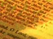 Paprocki, Gayz Devil: He's Again