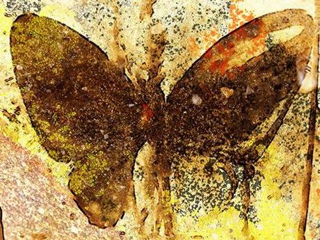 Butterfly Gold © lynette sheppard