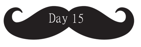 Moustache Banner Day 15