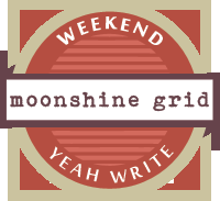 NaNoWriMo: Crawling Out of the Hole to Say Hello