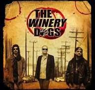 A Ripple Conversation with Mike Portnoy and the Winery Dogs