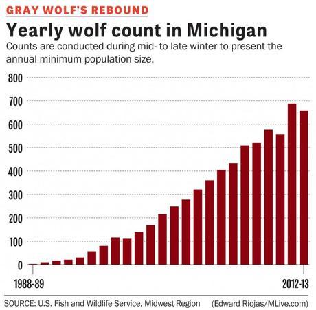 wolfcountjpg-19f9a06728474685