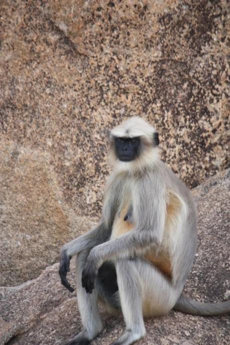 Taken Nov 3, 2013 at Hampi