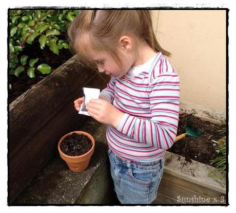 Sowing Seeds