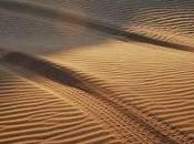 Trip Into Desert Wahiba Sands Region Oman
