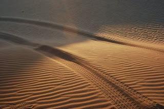 Truck Tracks in the Sand in the Wahiba Desert, Oman