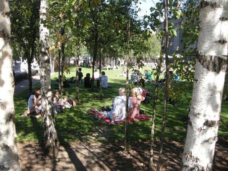 Tate Modern Landscape Birch Trees Shade