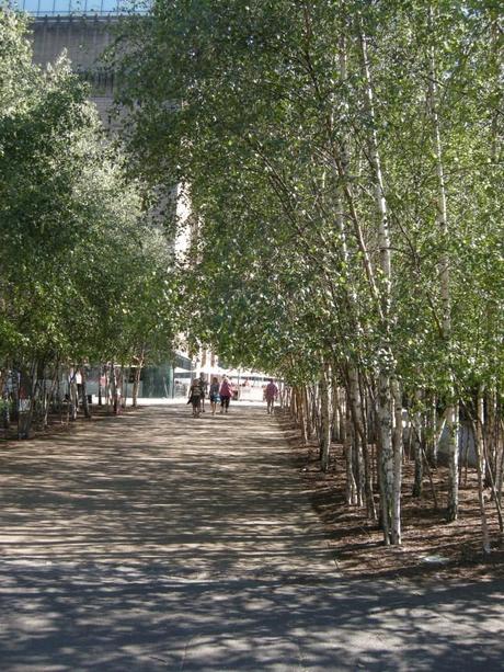 Tate Modern Landscape Birch Trees Blocks