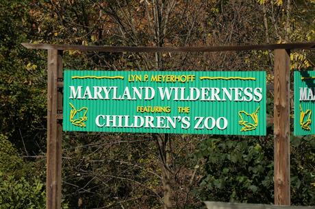 Maryland National Zoo 7